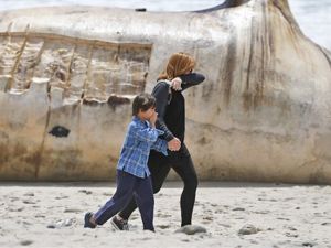 Sahile öyle bir şey vurdu ki