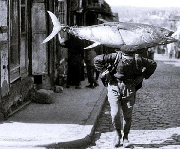 İstanbul bir zamanlar balık cennetiydi! 1