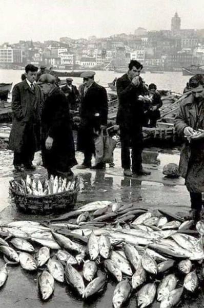 İstanbul bir zamanlar balık cennetiydi! 16