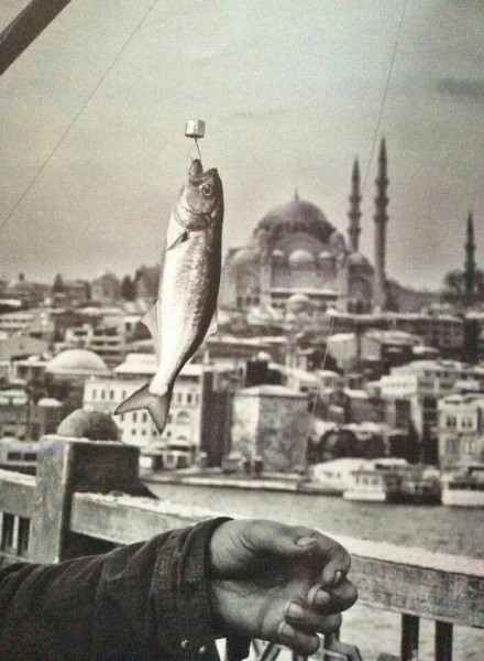 İstanbul bir zamanlar balık cennetiydi! 18
