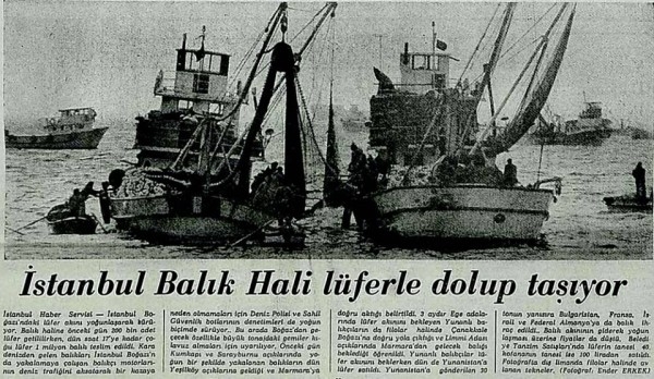 İstanbul bir zamanlar balık cennetiydi! 19