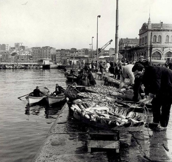 İstanbul bir zamanlar balık cennetiydi! 9