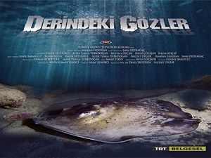 Derindeki Gözler