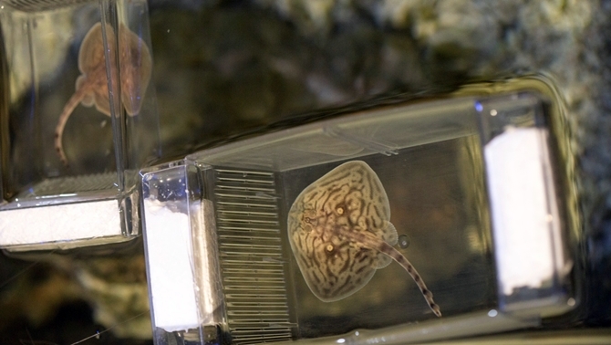 Birimiz hepimiz hepimiz 33’üz! 2