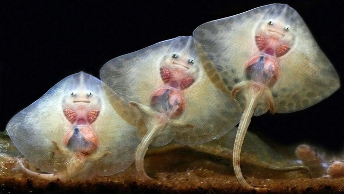 Birimiz hepimiz hepimiz 33’üz! 5