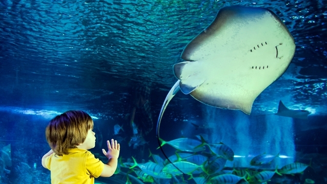 Birimiz hepimiz hepimiz 33’üz! 6