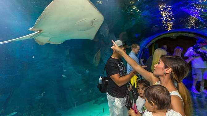 Birimiz hepimiz hepimiz 33’üz! 9