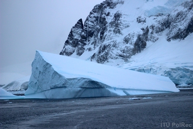 "Hepimizin Antarktikası" Fotoğraf Sergisi 4