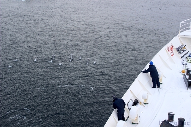 "Hepimizin Antarktikası" Fotoğraf Sergisi 7