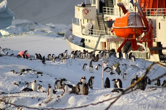 "Hepimizin Antarktikası" Fotoğraf Sergisi 9