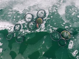 Zernek Baraj Gölü böyle görüntülendi