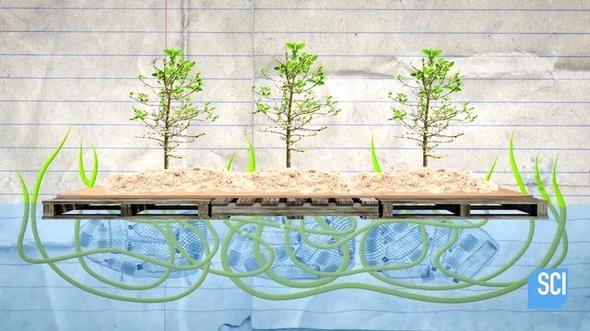 Plastik şişelerden yüzen ada yaptı! 24