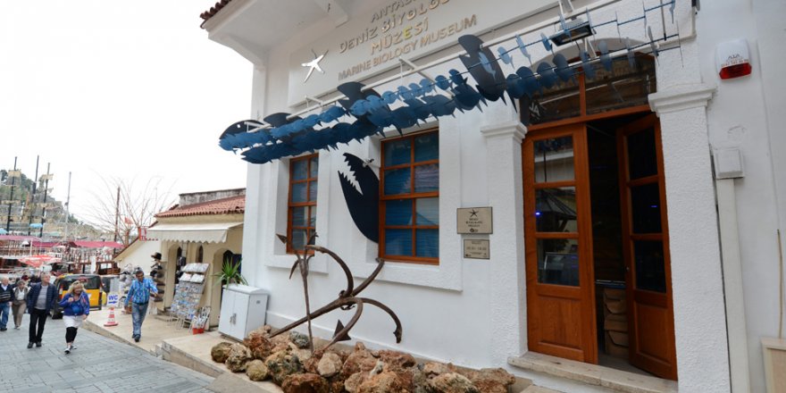 Antalya Deniz Biyolojisi Müzesi