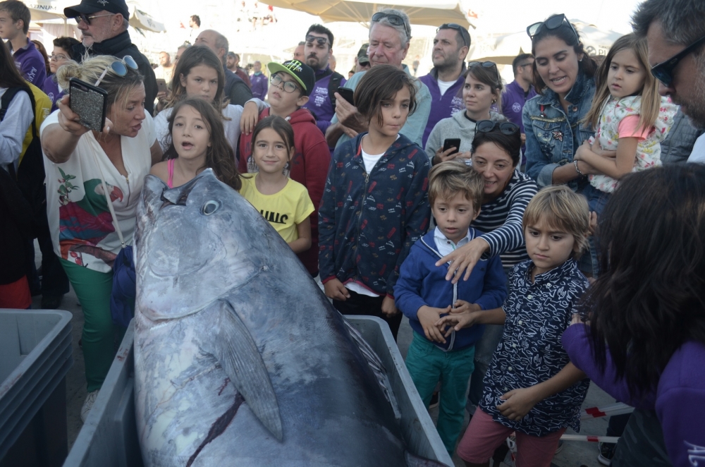 Tuna Masters Alaçatı nefes kesti 8