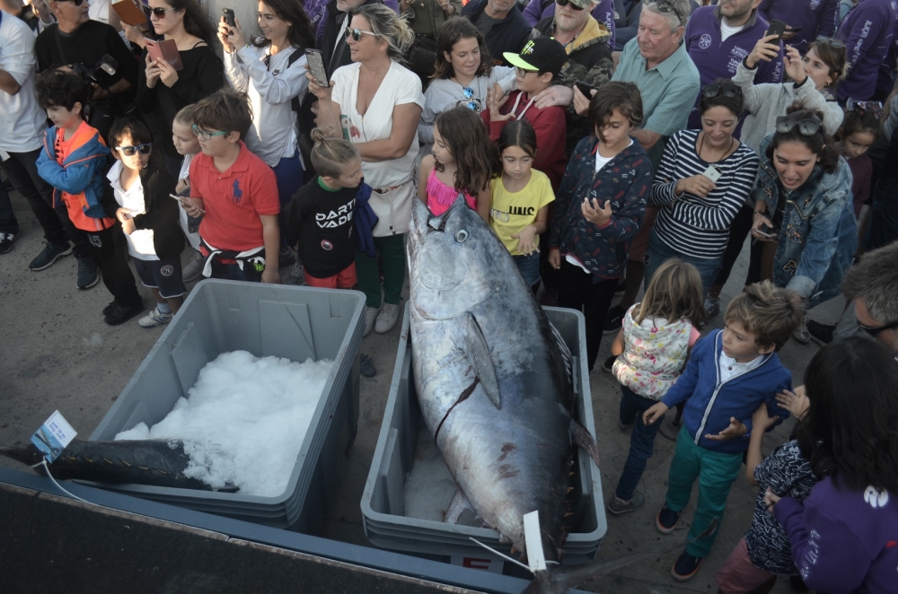 Tuna Masters Alaçatı nefes kesti 9