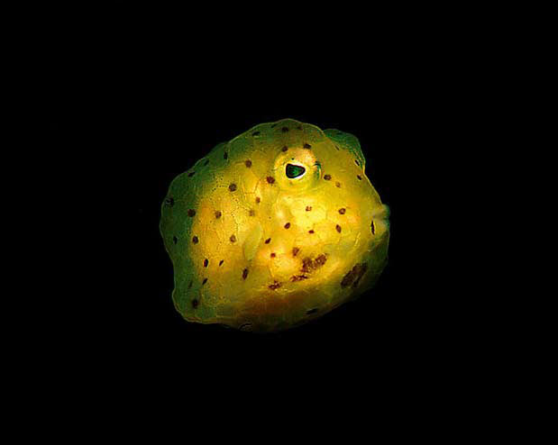 Derindeki muhteşem görüntü 15