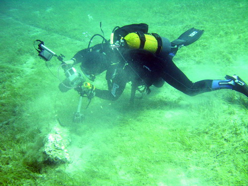Korsan limanında arkeoloji ve doğal güzellik görüntülendi 1
