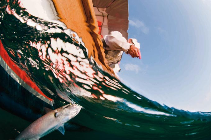 'Balık gözünden' İstanbul Boğazı 3