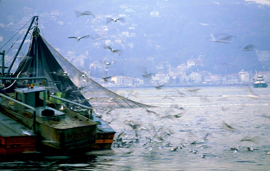 Kare Kare gemiler 18