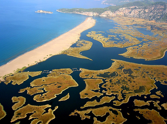 Yaz geldi, plajlar şenlenmeye başladı 13
