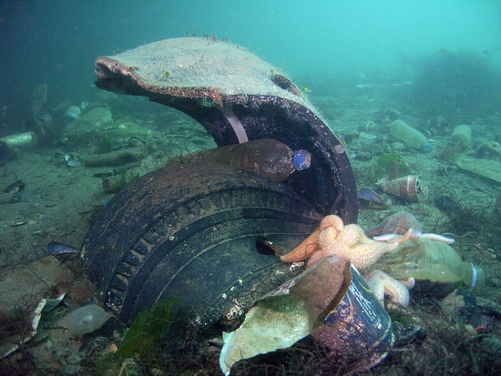 Çöp belgeseli birinci oldu 6