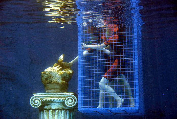 Köpekbalığından istiridye kaçırmaca 7