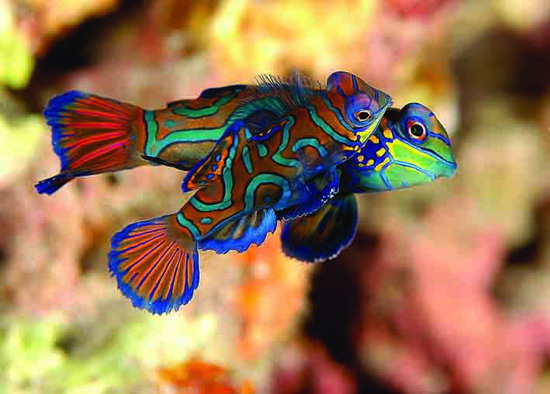 Yaşayan Marmara Festivali başladı 1