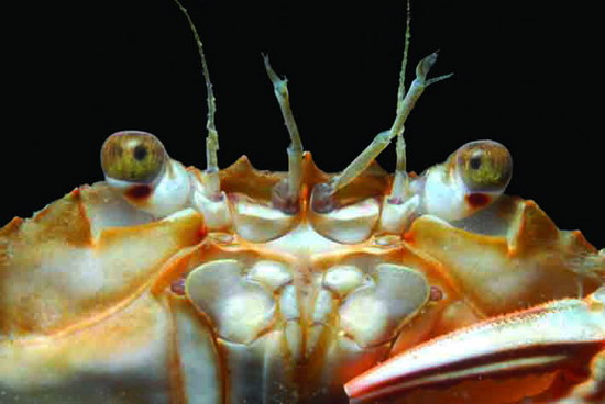 Yaşayan Marmara Festivali başladı 3