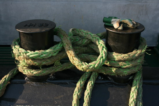 Boğaz’da Vira keyfi 46