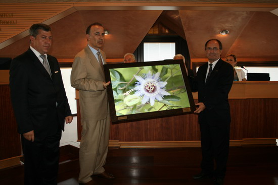 Denizcilik ve Kabotaj Bayramı(Beşiktaş ve DTO) 28