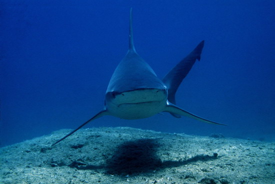 Denizcilik Bayramı’nı kutlayan sergi 2