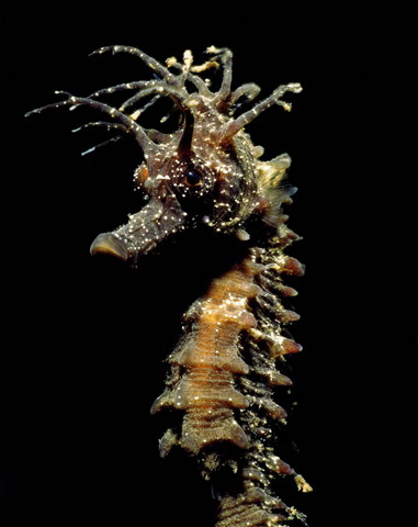 Denizcilik Bayramı’nı kutlayan sergi 3