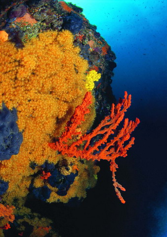 Denizcilik Bayramı’nı kutlayan sergi 6