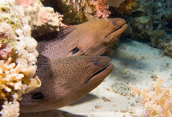 Denizcilik Bayramı’nı kutlayan sergi 7