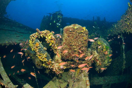 Denizcilik Bayramı’nı kutlayan sergi 9