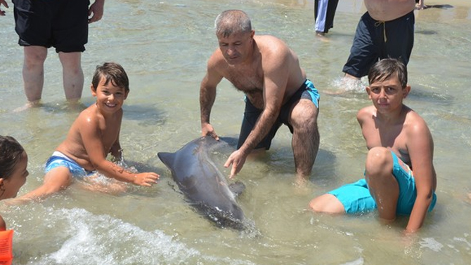 Kıyıya vuran yavru yunusu vatandaşlar kurtardı