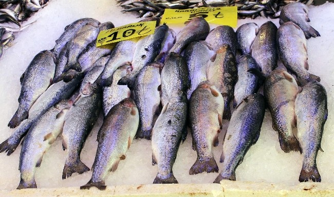 Av yasağı balık fiyatlarını etkilemeyecek