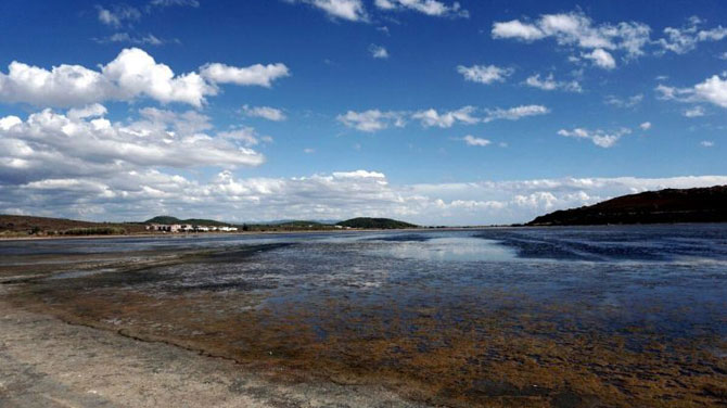 Balıkesir’de balık ölümleri: Sebebi küresel ısınma ve insan hatası