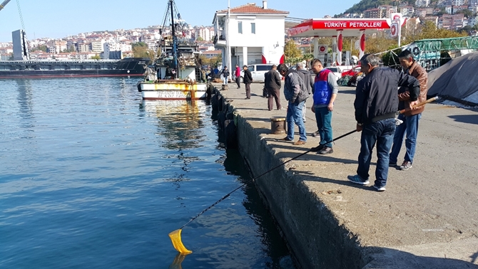 Balıkların şoka girmesi vatandaşa yaradı