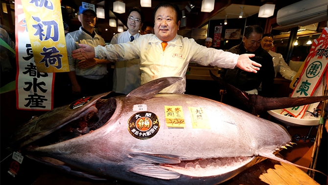 Kimura, bu balığın 1 kilosu için tam 10 bin 495 TL ödedi