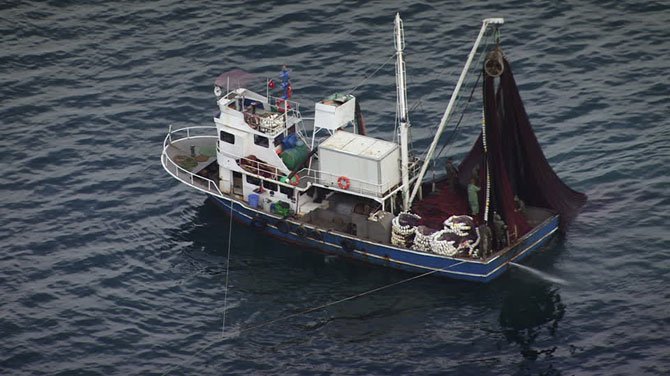 Avrupa Birliği balık avı limitlerini belirledi