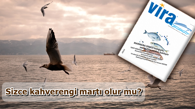 Vira Dergisi yeni sayısında Marmara Denizi’ne dikkat çekiyor