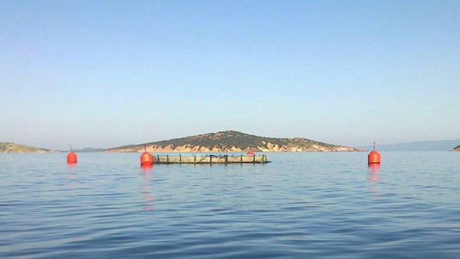 Azerbaycan'da, balık çiftlikleri özelleştirilecek