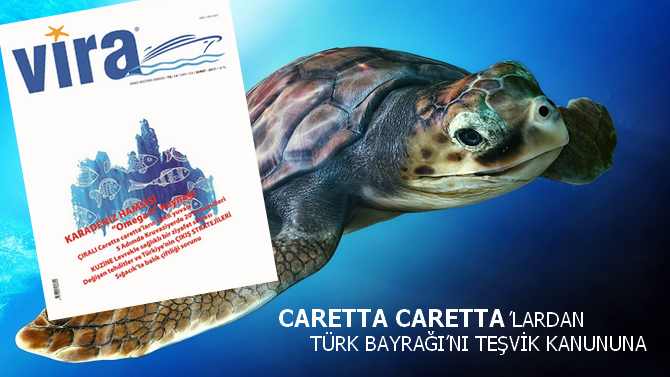 Caretta Caretta’lardan Türk Bayrağı’nı Teşvik Kanununa