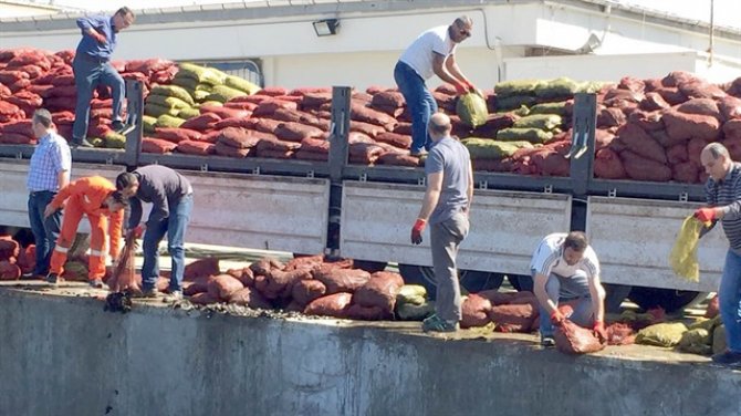 24 ton kaçak midye ele geçirildi