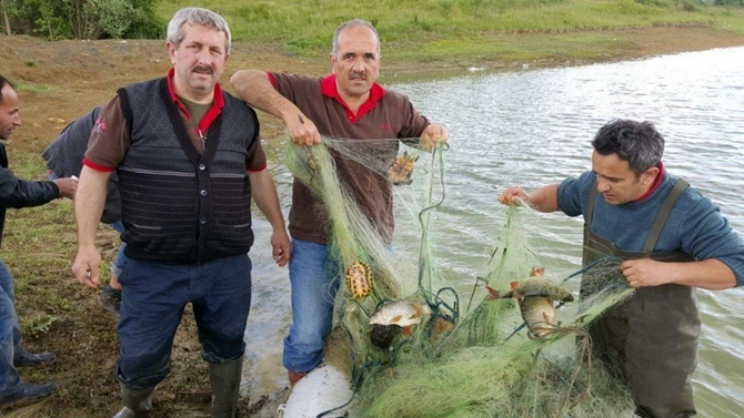 Ağlara takılan canlılar ekipler tarafından kurtarıldı