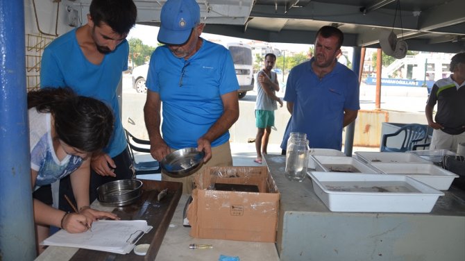 Marmara Denizi'nde "oşinografik" şartlar izleniyor