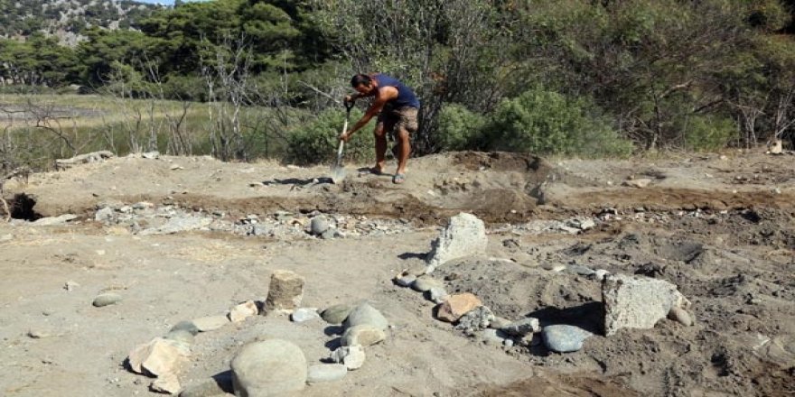 Muğla'da "deniz kaplumbağası mezarlığı"