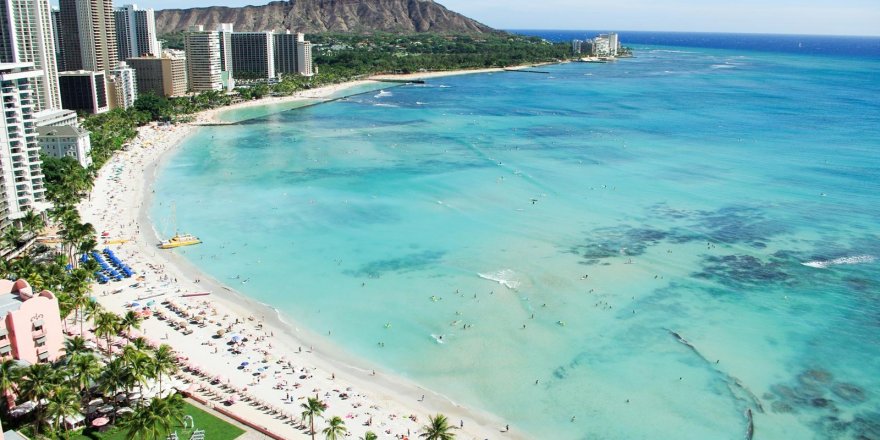 Hawaii’nin elektriğini yosunlar sağlayacak