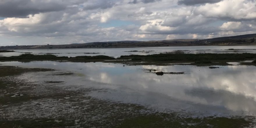 Ladik Gölü’nü kurtarma çalışmaları başladı